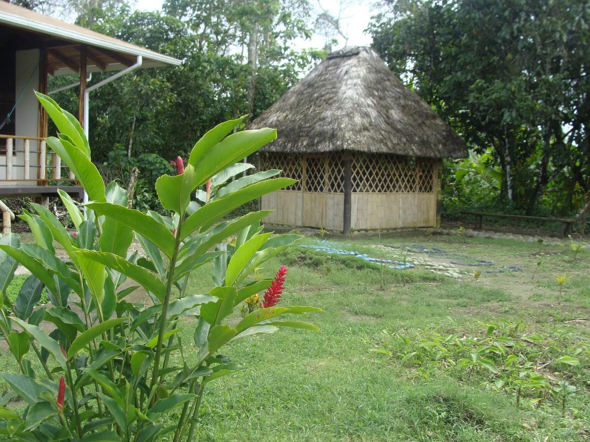 Shaman Lodge Río Arajuno Exterior foto